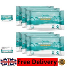 Eco-Friendly Moist Toilet