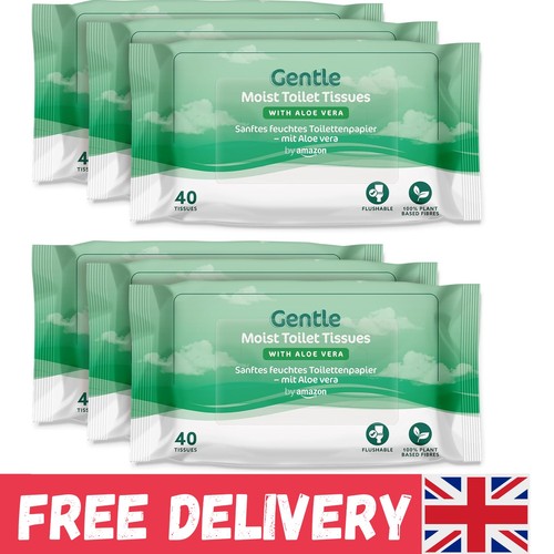 Eco friendly moist toilet - eco-friendly,